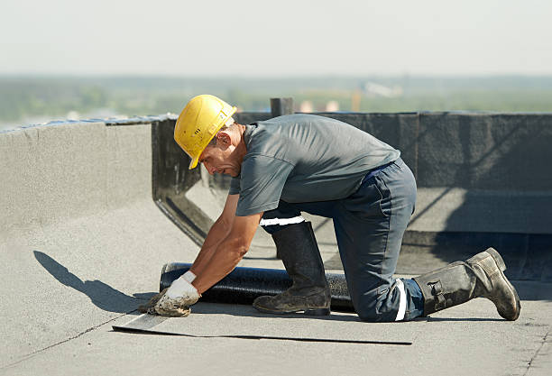 Best Insulation Replacement Services  in Sparta, TN